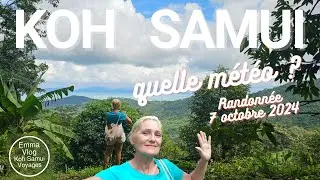 M&eacute;t&eacute;o d'octobre &agrave; janvier - Randonn&eacute;e &agrave; Koh Samui | Fruits exotiques, vues panoramiques