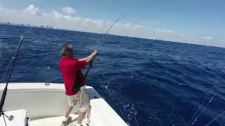 Sailfish on!