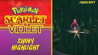 Shiny Charcadet REACTION! - Pokemon Scarlet and Violet