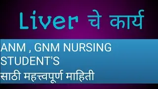 यकृताची कार्य | liver function | Anm , Gnm नर्सिग एक ईश्वर सेवा मी आरोग्यदूत|
