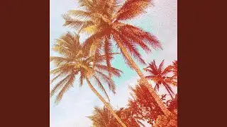 Summer Outro