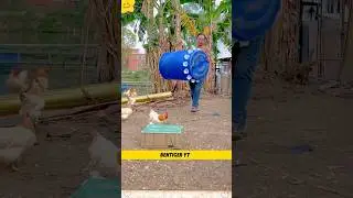 Smart Farming Hack with a Plastic Bucket!