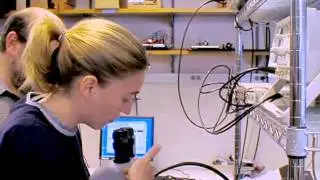 Hands-on 2: AFM force spectroscopy | MIT 20.309 Biological Engineering II, Fall 2006