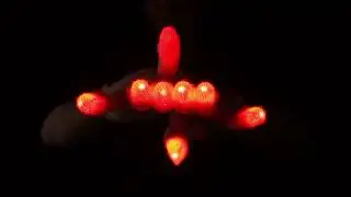Crazy Octo | Casing + Diffuser Set up Glove Lightshow