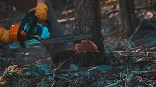 Cutting Cedar Trees down for my Off Grid TINY HOUSE with Sawyer Ridge Farm!