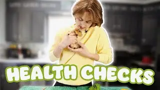 HOW TO: GUINEA PIG HEALTH CHECKS