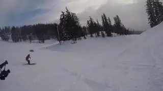 Hudson Hunter and Sammy at Meadows
