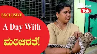 Leopard cubs: A Day with ಮರಿಚಿರತೆ!  |Karnataka Tak|