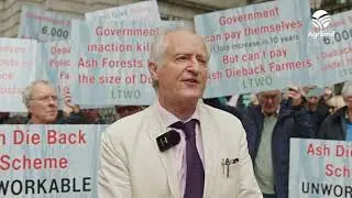Protesters demand &lsquo;justice&rsquo; for ash dieback farmers