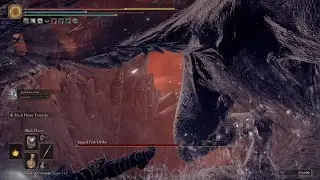 Just call me a dragon slayer.