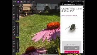 Adding PixelSquid content to 360 panoramas