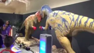 dinosaur boxing