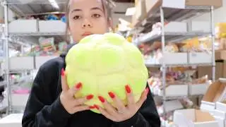 All The New Puni Maru Squishies In Stock!! | CharmsLOL