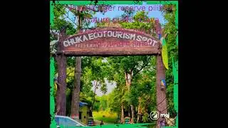 Pilibhit tiger reserve jungle safari