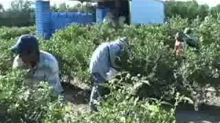 Наследие труда
