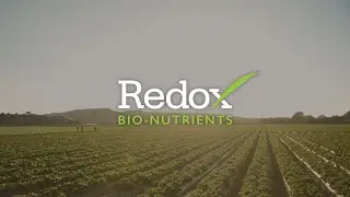 Redox Bio-Nutrients