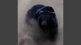 A strong presence