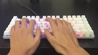 E-Element Z-88 Mechanical keyboard sound test/no talking/ASMR