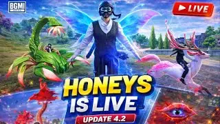 BGMI 4.2 Update LIVE NOW 😱 | Full Fun & Action | HONEY IS LIVE 🔴