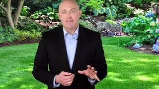 Window Tint for Artificial Turf - EVERYTHING YOU NEED TO KNOW