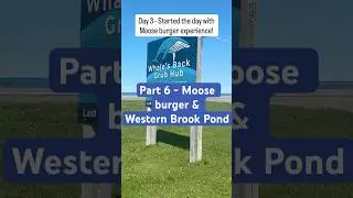 Part 6 - Moose burger and Western Brook Pond #moose #mooseburger #westernbrookpond #newfoundland