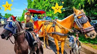 Naik kuda delman Istimewa | Full Lagu Anak-Anak Ceria & Edukatif untuk Si Kecil