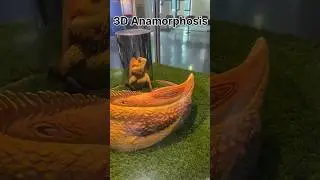 3D Anamorphosis | National Science Centre | @indianvloggers9119