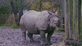 A Day at Chester Zoo