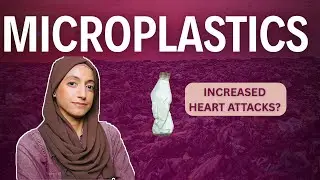 Microplastics & Your Heart: Do Plastics in Arteries Raise Risk?