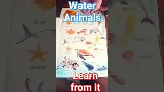 water animals# by Learn from it#learn 123