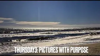 THURSDAY3: Pictures with Purpose--The perfect holiday gift! VIVID Art Gallery 11.30.23
