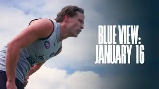 Blue View | Training Close-Up