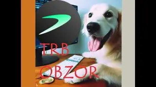 Обзор токена Tellor (TRB)