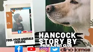 Hancock |Dino James | Dog story _ Pankaj and Hancock _ [choreography] by vinay manoj  |dog story