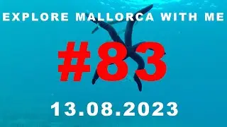 #83 13.08.2023 searching for treasures in Mallorca diving vlog @DJI