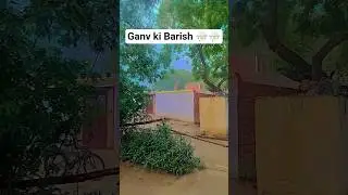 Barish ⛈️⛈️🥰#ganv #barishstatus #ytshorts #rain
