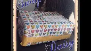 Swap avec Daisy (Coquetteries de Miss)