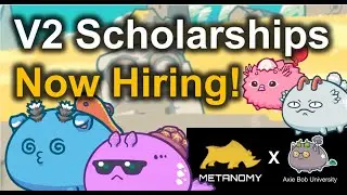 Now Hiring! | Axie Bob x Metanomy Scholarship