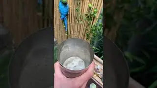 DIY Tiki Bar