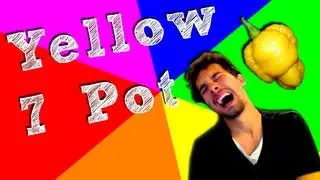 Yellow 7 Pot Pod Chili Review 800,000 SHU With DoneyKebab HD