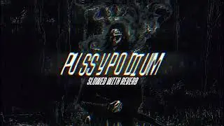 pussypodium (SLOWED + REVERB)