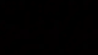 Bay Oval Live Stream