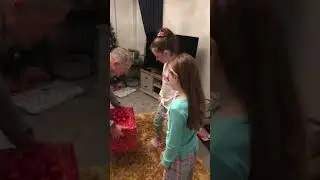 Puppy surprise for Christmas!! Plenty of tears.