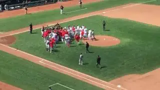 Ugly Brawl on Memorial Day: Giants vs Nationals