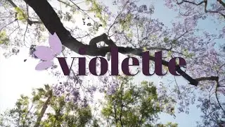 Violette by TRUMAN | Southwest Pre-Construction Condos | Yorkville Calgary