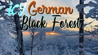 German Black Forest - chilly winter walk | ambient/nature sound & music [4k]