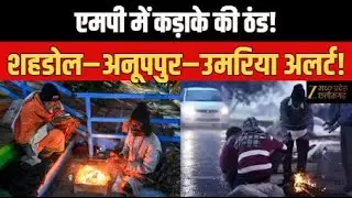 Cold Wave in MP:  Madhya Pradesh  में कड़ाके की ठंड का कहर जारी | Winter Alert | Zee MPCG