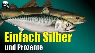 Russian Fishing 4 - Nordmeer - Mit der 