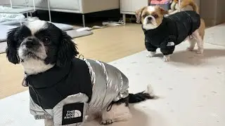 올 겨울은 눕시와 함께 더노스페이스 / 짭인건 비밀 ㅋㅋㅋㅋ