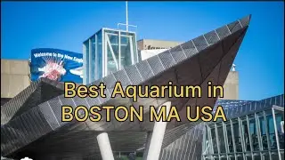 Walk Tour in New England Aquarium